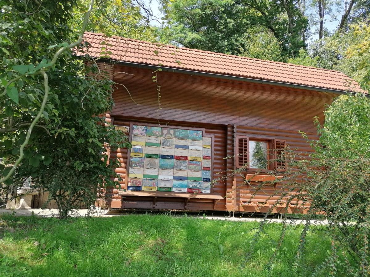 Lukovica pri Domžalah Apartments Bukor With Seasonal Pool מראה חיצוני תמונה