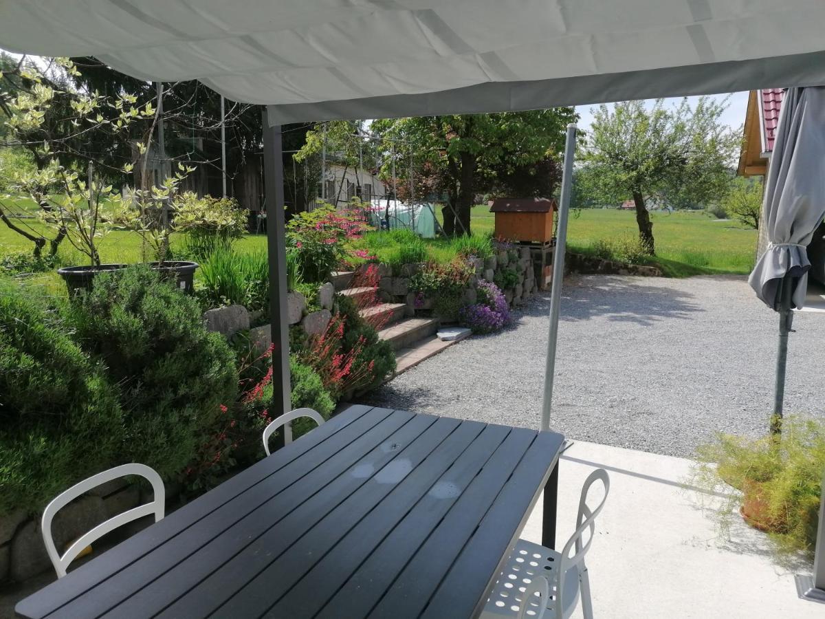 Lukovica pri Domžalah Apartments Bukor With Seasonal Pool מראה חיצוני תמונה
